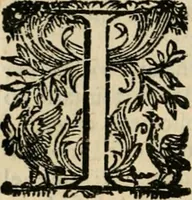An illustration from Lo inganno de gl'occhi, prospettiva pratica (1625)