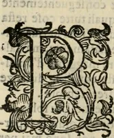 An illustration from Lo inganno de gl'occhi, prospettiva pratica (1625)