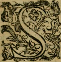 Picture 129 of 162 from Lo inganno de gl'occhi, prospettiva pratica (1625), leaf 130