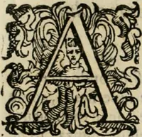 An illustration from Lo inganno de gl'occhi, prospettiva pratica (1625)
