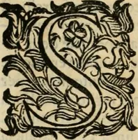 Picture 40 of 162 from Lo inganno de gl'occhi, prospettiva pratica (1625), leaf 41