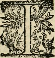 An illustration from Lo inganno de gl'occhi, prospettiva pratica (1625)