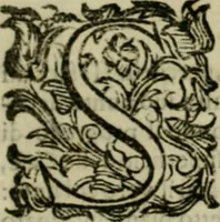 An illustration from Lo inganno de gl'occhi, prospettiva pratica (1625)
