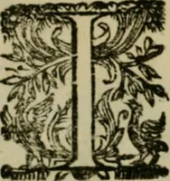 An illustration from Lo inganno de gl'occhi, prospettiva pratica (1625)