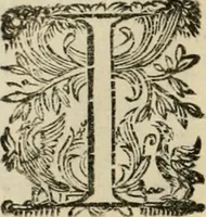 An illustration from Lo inganno de gl'occhi, prospettiva pratica (1625)