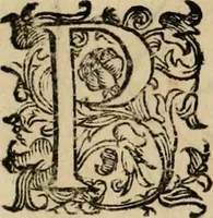 Picture 87 of 162 from Lo inganno de gl'occhi, prospettiva pratica (1625), leaf 87