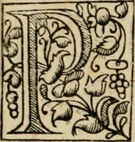 An illustration from Lo inganno de gl'occhi, prospettiva pratica (1625)