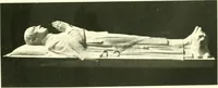 Picture 19 of 82 from A loiterer in New York; (1917), leaf 144