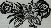 Picture 30 of 83 from L'Olivastro, overo, Il poeta sfortvnato : poema fantastico (1642), leaf 119