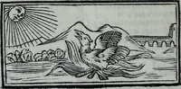 Picture 40 of 83 from L'Olivastro, overo, Il poeta sfortvnato : poema fantastico (1642), leaf 161