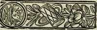 An illustration from L'Olivastro, overo, Il poeta sfortvnato : poema fantastico (1642)