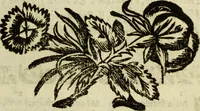An illustration from L'Olivastro, overo, Il poeta sfortvnato : poema fantastico (1642)
