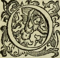 An illustration from L'Olivastro, overo, Il poeta sfortvnato : poema fantastico (1642)