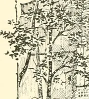 An illustration from London city churches (1896)