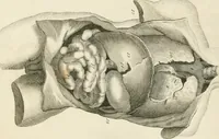 An illustration from A London encyclopaedia, or universal dictionary of science, art, literature and practical mechanics : comprising a popular view of the present state of knowledge : illustrated by numerous engravings, a general atlas, and appropriate diagrams (1829)