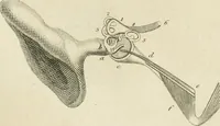 An illustration from A London encyclopaedia, or universal dictionary of science, art, literature and practical mechanics : comprising a popular view of the present state of knowledge : illustrated by numerous engravings, a general atlas, and appropriate diagrams (1829)