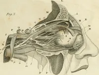 An illustration from A London encyclopaedia, or universal dictionary of science, art, literature and practical mechanics : comprising a popular view of the present state of knowledge : illustrated by numerous engravings, a general atlas, and appropriate diagrams (1829)