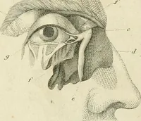 An illustration from A London encyclopaedia, or universal dictionary of science, art, literature and practical mechanics : comprising a popular view of the present state of knowledge : illustrated by numerous engravings, a general atlas, and appropriate diagrams (1829)