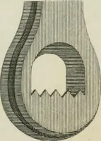An illustration from A London encyclopaedia, or universal dictionary of science, art, literature and practical mechanics : comprising a popular view of the present state of knowledge : illustrated by numerous engravings, a general atlas, and appropriate diagrams (1829)
