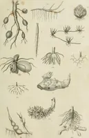 An illustration from A London encyclopaedia, or universal dictionary of science, art, literature and practical mechanics : comprising a popular view of the present state of knowledge : illustrated by numerous engravings, a general atlas, and appropriate diagrams (1829)