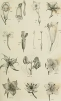 An illustration from A London encyclopaedia, or universal dictionary of science, art, literature and practical mechanics : comprising a popular view of the present state of knowledge : illustrated by numerous engravings, a general atlas, and appropriate diagrams (1829)