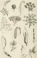 An illustration from A London encyclopaedia, or universal dictionary of science, art, literature and practical mechanics : comprising a popular view of the present state of knowledge : illustrated by numerous engravings, a general atlas, and appropriate diagrams (1829)