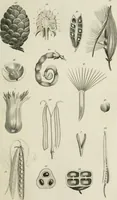 An illustration from A London encyclopaedia, or universal dictionary of science, art, literature and practical mechanics : comprising a popular view of the present state of knowledge : illustrated by numerous engravings, a general atlas, and appropriate diagrams (1829)