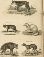 An illustration from A London encyclopaedia, or universal dictionary of science, art, literature and practical mechanics : comprising a popular view of the present state of knowledge : illustrated by numerous engravings, a general atlas, and appropriate diagrams (1829)