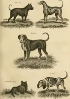 An illustration from A London encyclopaedia, or universal dictionary of science, art, literature and practical mechanics : comprising a popular view of the present state of knowledge : illustrated by numerous engravings, a general atlas, and appropriate diagrams (1829)