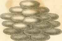 An illustration from A London encyclopaedia, or universal dictionary of science, art, literature and practical mechanics : comprising a popular view of the present state of knowledge : illustrated by numerous engravings, a general atlas, and appropriate diagrams (1829)