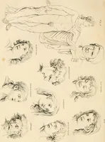 An illustration from A London encyclopaedia, or universal dictionary of science, art, literature and practical mechanics : comprising a popular view of the present state of knowledge : illustrated by numerous engravings, a general atlas, and appropriate diagrams (1829)