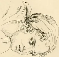 An illustration from A London encyclopaedia, or universal dictionary of science, art, literature and practical mechanics : comprising a popular view of the present state of knowledge : illustrated by numerous engravings, a general atlas, and appropriate diagrams (1829)