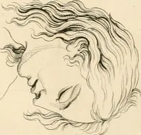 An illustration from A London encyclopaedia, or universal dictionary of science, art, literature and practical mechanics : comprising a popular view of the present state of knowledge : illustrated by numerous engravings, a general atlas, and appropriate diagrams (1829)