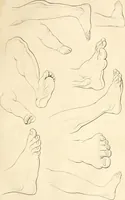 An illustration from A London encyclopaedia, or universal dictionary of science, art, literature and practical mechanics : comprising a popular view of the present state of knowledge : illustrated by numerous engravings, a general atlas, and appropriate diagrams (1829)