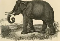 An illustration from A London encyclopaedia, or universal dictionary of science, art, literature and practical mechanics : comprising a popular view of the present state of knowledge : illustrated by numerous engravings, a general atlas, and appropriate diagrams (1829)
