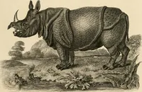 An illustration from A London encyclopaedia, or universal dictionary of science, art, literature and practical mechanics : comprising a popular view of the present state of knowledge : illustrated by numerous engravings, a general atlas, and appropriate diagrams (1829)