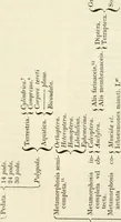 An illustration from A London encyclopaedia, or universal dictionary of science, art, literature and practical mechanics : comprising a popular view of the present state of knowledge : illustrated by numerous engravings, a general atlas, and appropriate diagrams (1829)