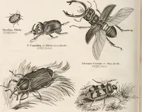 An illustration from A London encyclopaedia, or universal dictionary of science, art, literature and practical mechanics : comprising a popular view of the present state of knowledge : illustrated by numerous engravings, a general atlas, and appropriate diagrams (1829)