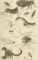An illustration from A London encyclopaedia, or universal dictionary of science, art, literature and practical mechanics : comprising a popular view of the present state of knowledge : illustrated by numerous engravings, a general atlas, and appropriate diagrams (1829)
