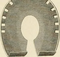 An illustration from A London encyclopaedia, or universal dictionary of science, art, literature and practical mechanics : comprising a popular view of the present state of knowledge : illustrated by numerous engravings, a general atlas, and appropriate diagrams (1829)
