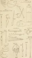 An illustration from A London encyclopaedia, or universal dictionary of science, art, literature and practical mechanics : comprising a popular view of the present state of knowledge : illustrated by numerous engravings, a general atlas, and appropriate diagrams (1829)