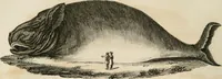An illustration from A London encyclopaedia, or universal dictionary of science, art, literature and practical mechanics : comprising a popular view of the present state of knowledge : illustrated by numerous engravings, a general atlas, and appropriate diagrams (1829)