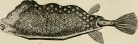 An illustration from A London encyclopaedia, or universal dictionary of science, art, literature and practical mechanics : comprising a popular view of the present state of knowledge : illustrated by numerous engravings, a general atlas, and appropriate diagrams (1829)