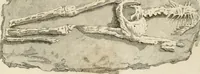 An illustration from A London encyclopaedia, or universal dictionary of science, art, literature and practical mechanics : comprising a popular view of the present state of knowledge : illustrated by numerous engravings, a general atlas, and appropriate diagrams (1829)
