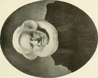 An illustration from Londres, Hampton Court et Windsor (1912)