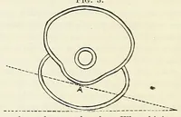 An illustration from The loom-fixers' manual; (1883)