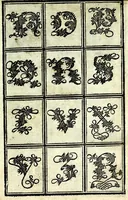 Picture 15 of 44 from Lo presente libro insegna la vera arte delo excelle[n]te scriuere de diuerse varie sorti de litere : lequali se fano p[e]r geometrica ragione & con la presente opera ognuno le potra imparare impochi giorni p[er] lo amaistramento, ragione, & essempli, come qui seguente vederai (1539), leaf 33