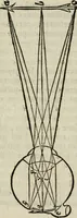 An illustration from L'optique divisée en trois livres : ou, l'On démontre d'une maniere aisée tout ce qui regarde 1. la propagation & les proprietez de la lumiere. 2. La vision. 3. La figure & la disposition des verres qui servent à la perfefectionner [sic] (1682)