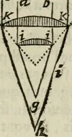 An illustration from L'optique divisée en trois livres : ou, l'On démontre d'une maniere aisée tout ce qui regarde 1. la propagation & les proprietez de la lumiere. 2. La vision. 3. La figure & la disposition des verres qui servent à la perfefectionner [sic] (1682)