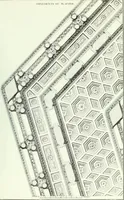 Picture 31 of 34 from L'ordre françois trouvé dans la nature, présenté au roi le 21 septembre 1776. Orné de planches gravées d'après les dessins de l'auteur (1783), leaf 106